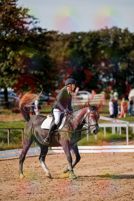 2026_10_03_Siefer-Hof_120130_Z63_34025658 | Professionelle Reitsport-, Turnier- und Eventfotografie von Robert Broda. Galerien mit ausgewählten und bearbeiteten Bildern direkt online ansehen und bestellen.