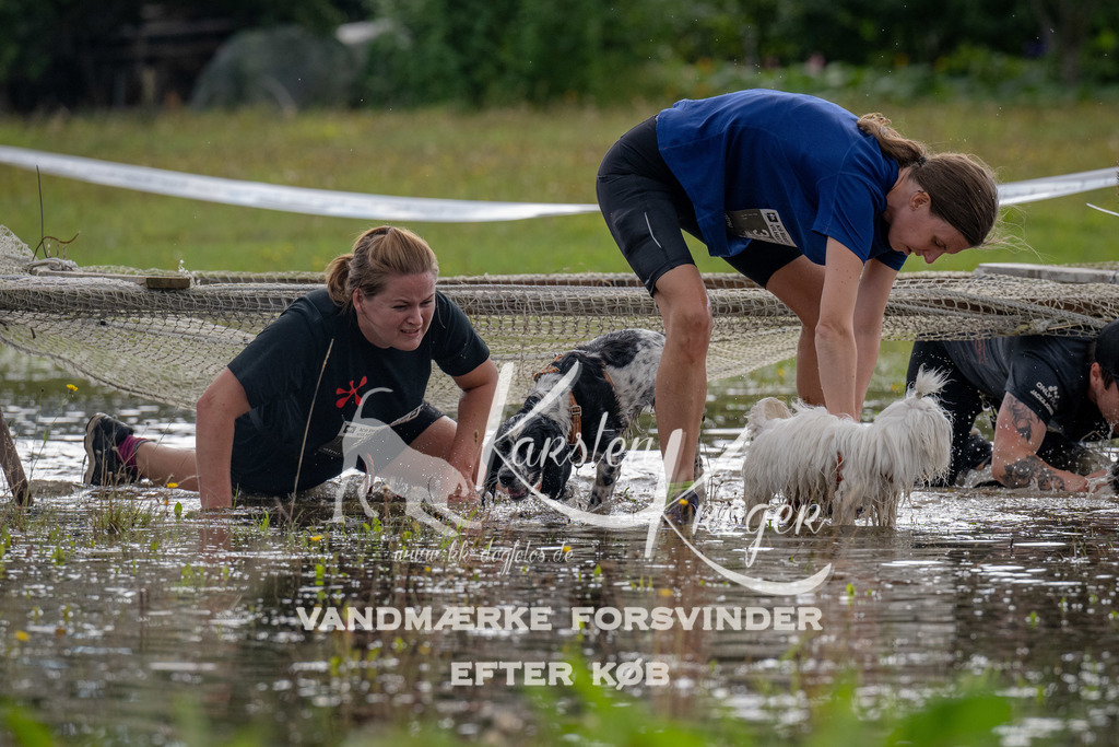 1407_ZZ90084 | kk-dogfotos