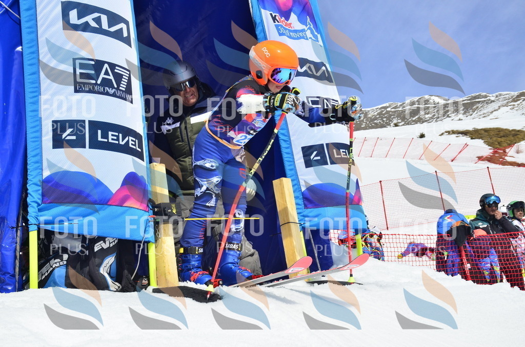 _ELE1669 | holidayphoto