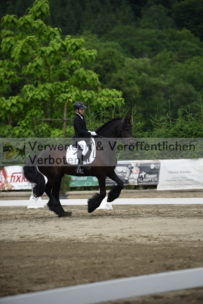 DSC_8484 | equestrian-live-com