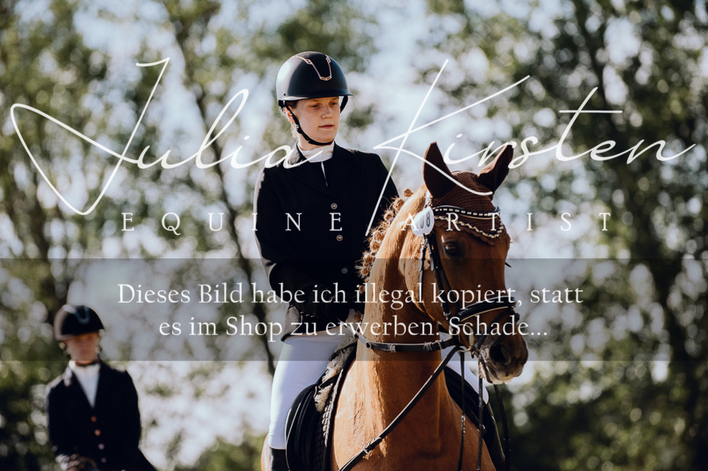 DSC_7175 | Pferde- und Turnierfotografie in Westsachsen. Pferdeportraits, Auftragszeichnungen und intuitive Kunst.