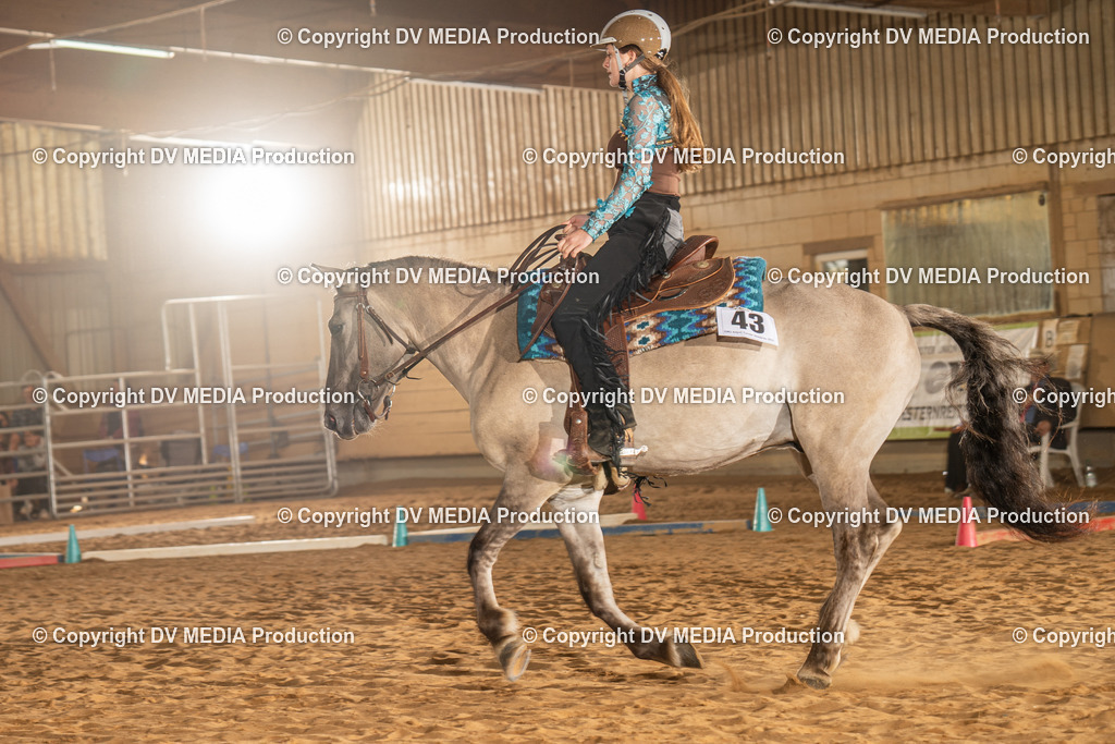 NID02554 | dv-media-shop - Realisiert mit Pictrs.com