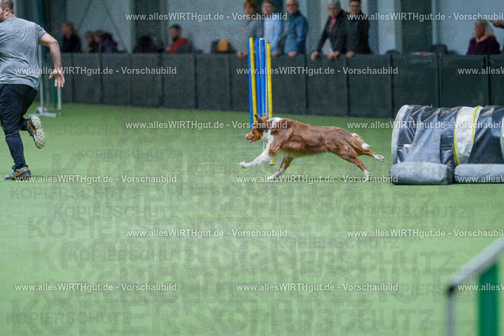 @allesWIRTHgut_Tierfotografie - www.allesWIRTHgut.de - 2604251058-7R500703 | Professionelle Tierfotografie in Mönchengladbach von Daniel Wirth (allesWIRTHgut). Liebevolle & natürliche Bilder von Hunden & Katzen für unvergessliche Erinnerungen.