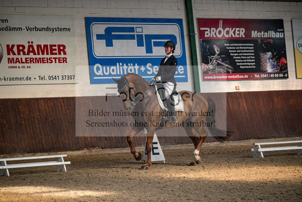 Reitturnier Voxtrup | Entdecke hochwertige Reitturnierfotos von Foto Oger. Professionell, emotional und authentisch – jetzt Lieblingsmomente im Shop bestellen.Deutschlandweite Turnierfotografie. - Realisiert mit Pictrs.com