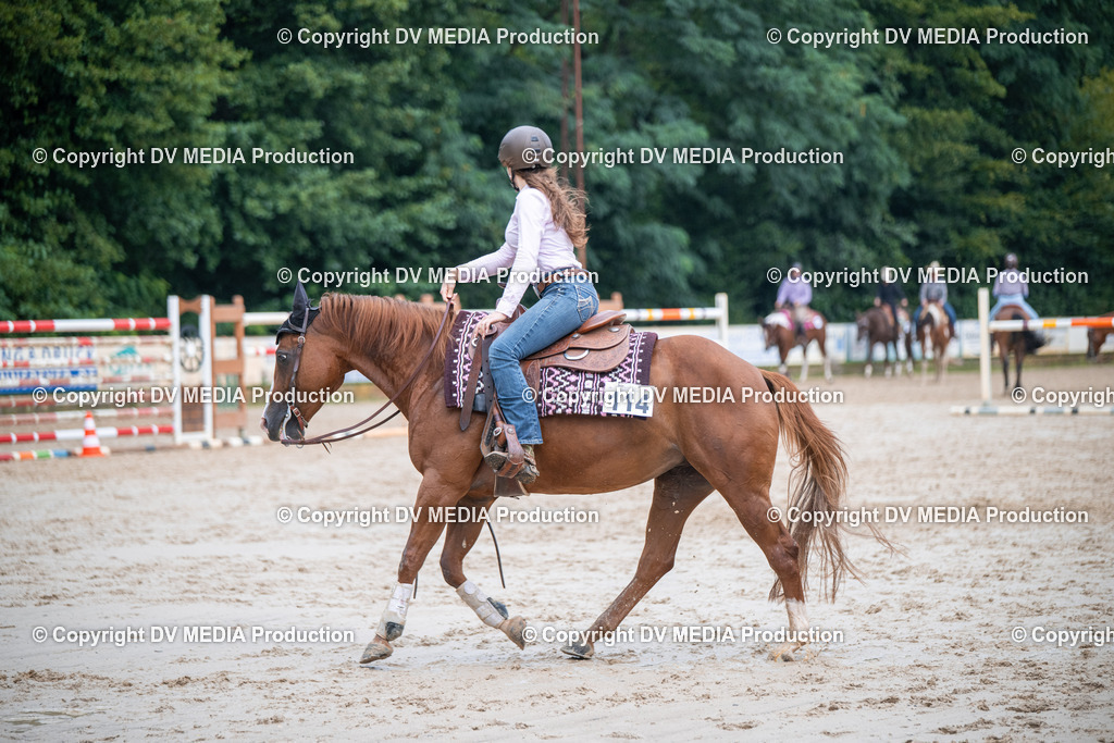 ZS2_4140 | dv-media-shop - Realisiert mit Pictrs.com