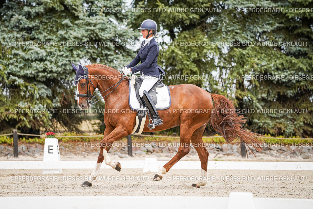 DSC05153 | Pferdegrafie