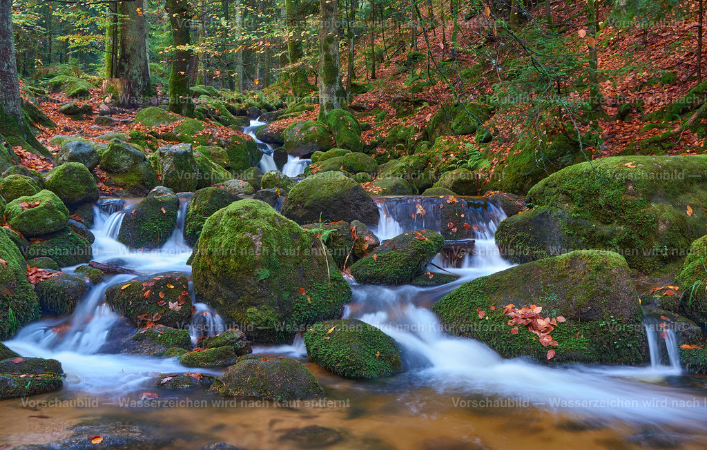 Gertelbach | Wasserfall im Nordschwarzwald im Herbst - Realisiert mit Pictrs.com