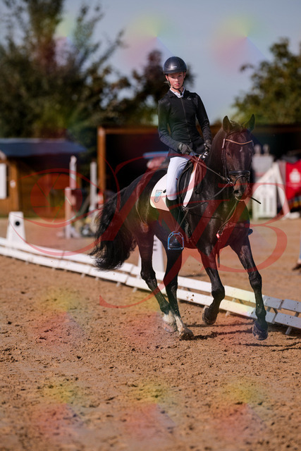 2026_10_03_Siefer-Hof_115802_Z81_99752117 | Professionelle Reitsport-, Turnier- und Eventfotografie von Robert Broda. Galerien mit ausgewählten und bearbeiteten Bildern direkt online ansehen und bestellen.