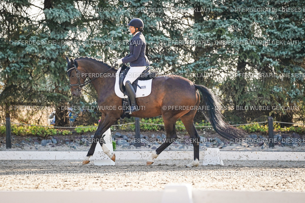 DSC08547 | Pferdegrafie