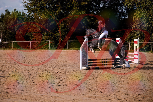 2026_10_03_Siefer-Hof_154245_Z81_60420108 | Professionelle Reitsport-, Turnier- und Eventfotografie von Robert Broda. Galerien mit ausgewählten und bearbeiteten Bildern direkt online ansehen und bestellen.