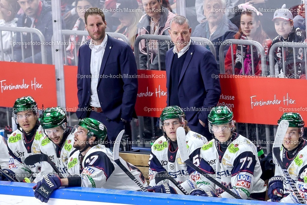 KEC15042601170 | 15.04.2026, Eishockey, DEL Halbfinale Play-Offs, Kölner Haie - Eisbären Berlin, Spiel 4, Lanxess-Arena Köln: Cheftrainer Serge Aubin (Eisbären Berlin #hc) blickt angespannt auf der Spielerbank auf das Spielgeschehen