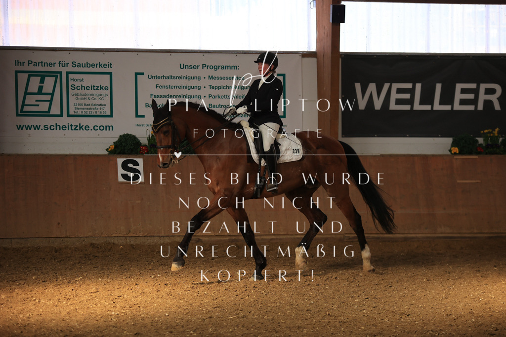 IMGT1939 | pl-fotografie