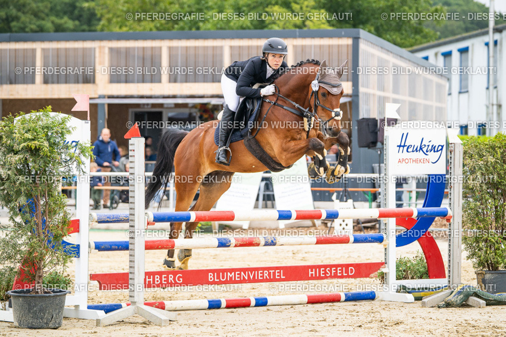 DSC09850 | Pferdegrafie