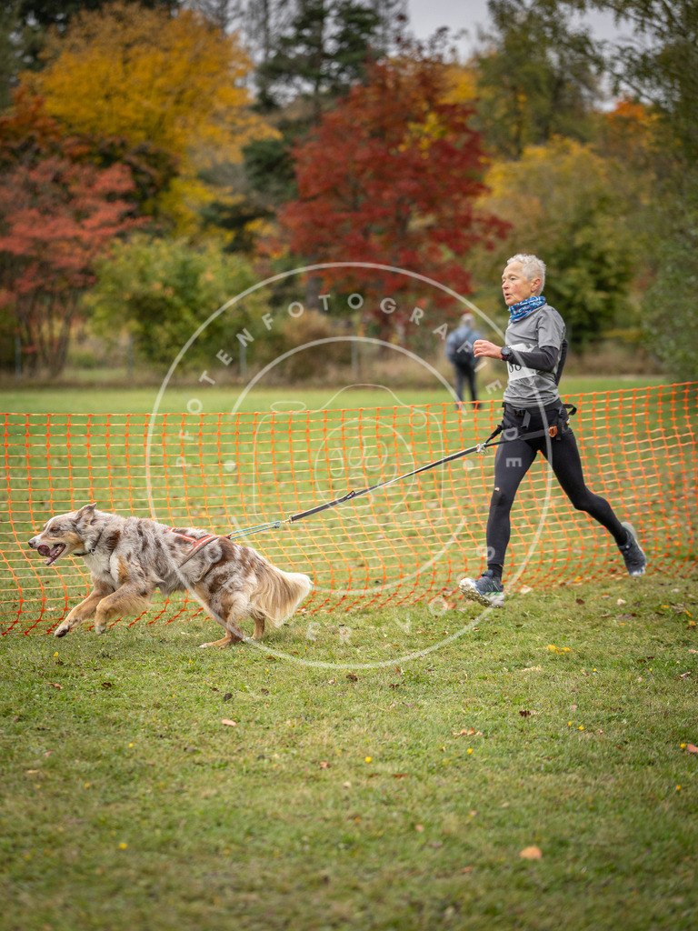 Pfotenfotografie_DV3A3235 | Hundefotografie, Tierfotograf, Pfotenfotografie, Fotoshooting Hund, Hunde Portrait, Hundesport, Hundeportraits, Heideshooting, Hunde, Sportfotograf, Hundefotograf, Turnierhundsport, THS,  - Realisiert mit Pictrs.com