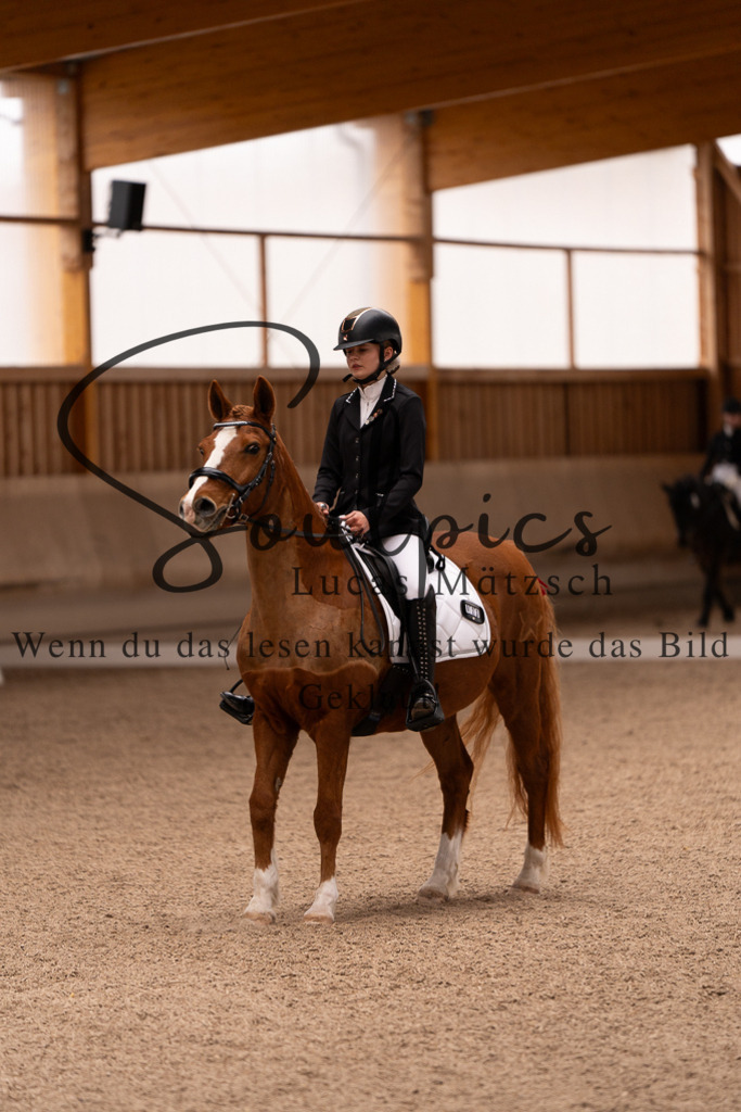 A7506954 | Turnier/Reitfotograf