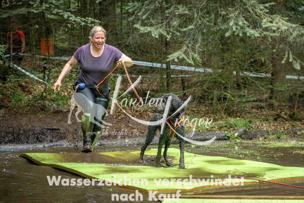 1536_ZZ91392-Bearbeitet | kk-dogfotos