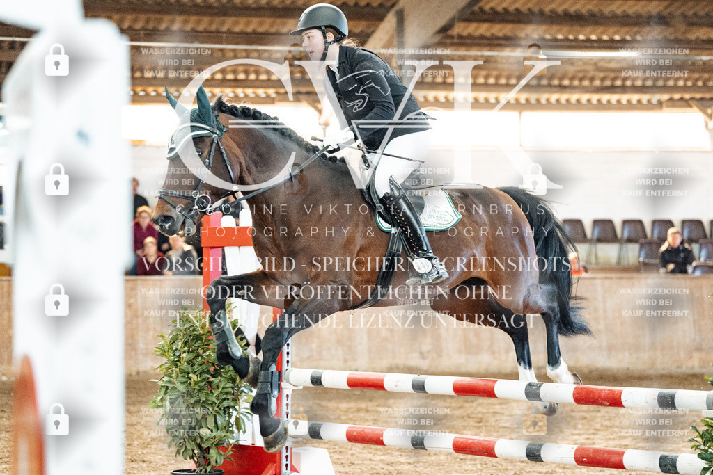 CK904312 | Turnierfotografie Pferdefotografie Trier Rheinland-Pfalz Pferdesport Reitsport Tierfotografie Sportfotografie Pferdevideo Pferdevideografie Equestrianvideography equestrianphotography  - Realized with Pictrs.com