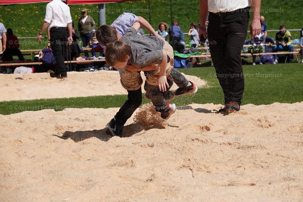 DSC00418 | Schwingen - Realisiert mit Pictrs.com