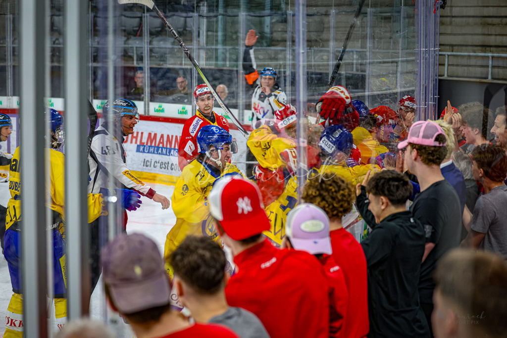 U21_EHCB vs HCD_wb20260308-0665 | Sportbilder, Sportfotograf, Hochzeits- und Eventfotografin, Flugshows, Portraits und Tiershooting, Aviation, Downhill, Nationalleague, Swissleague, International