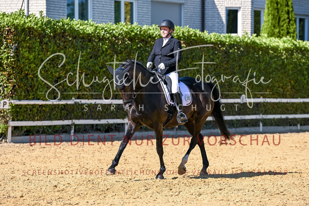 Schugtsche-Aluta25-50.Dressurpferdeprf.L-206 | Schugtsche Fotografie - Realisiert mit Pictrs.com