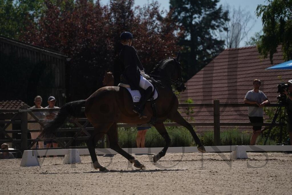 tgbhsonntag (1482) | d.tail Visions - Shop - Realisiert mit Pictrs.com