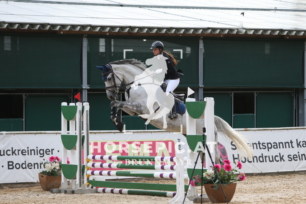 DL2Q0047 | Willkommen bei Brunnmayr - Design & Fotografie – Ihrem Spezialisten für Reitturniere und Pferdeveranstaltungen in Oberösterreich, Salzburg und Bayern! Seit über 17 Jahren sind wir leidenschaftlich dabei.