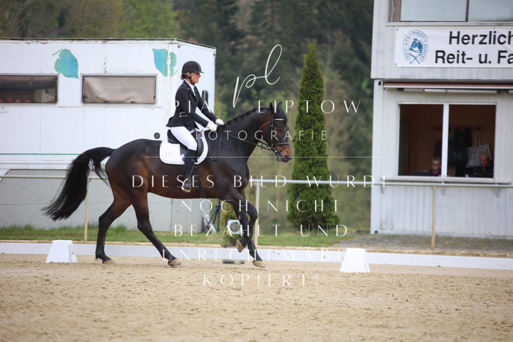 IMGT7101 | pl-fotografie