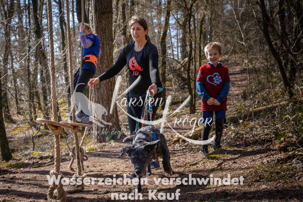 1117_ZZ97396 | kk-dogfotos