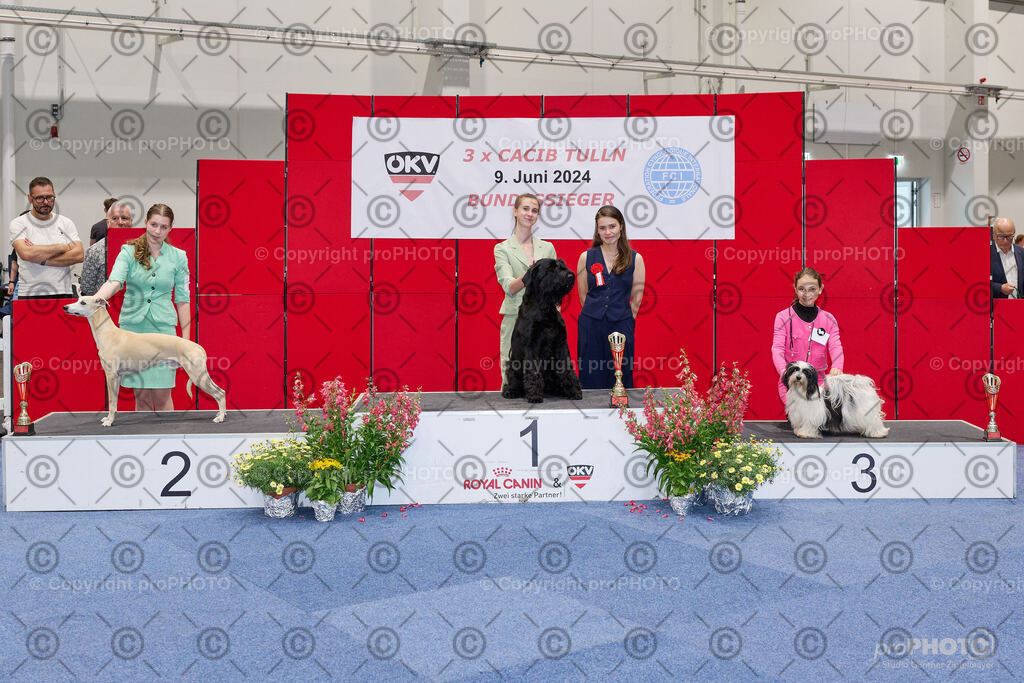 202406_ÖKV-IHA-Tulln24_NZ9_9423 | proPHOTO - Realisiert mit Pictrs.com