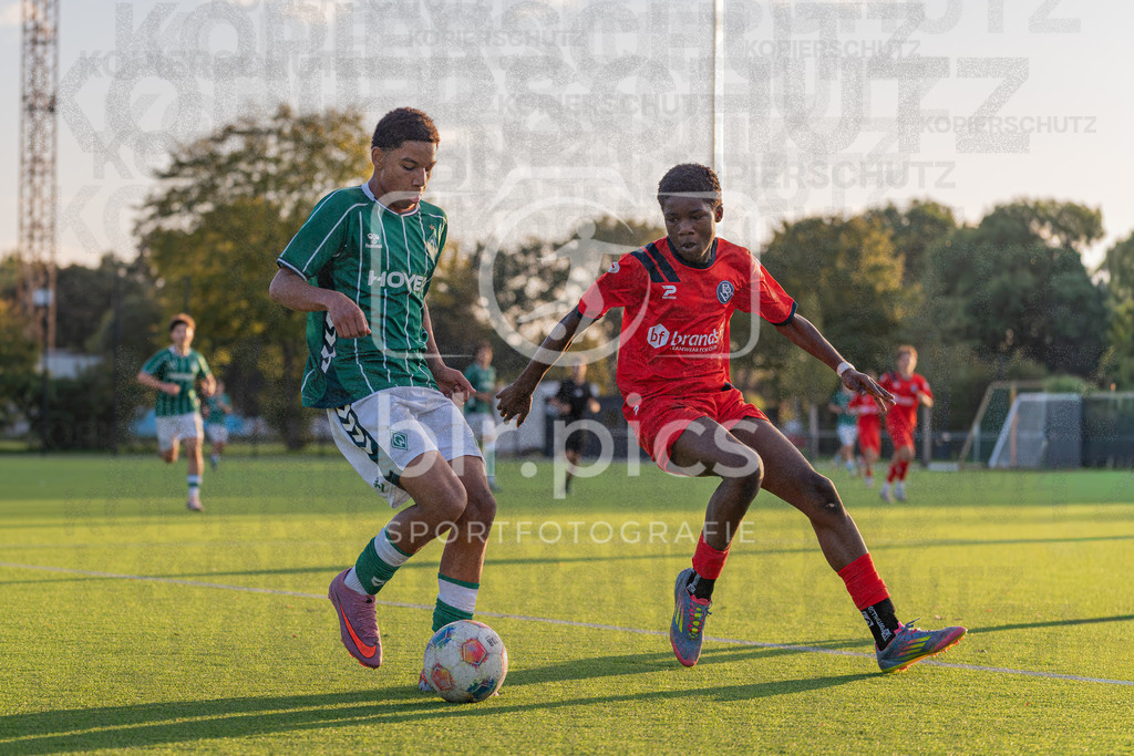 SV Werder Bremen II - Bremer SV | SV Werder Bremen II - Bremer SV