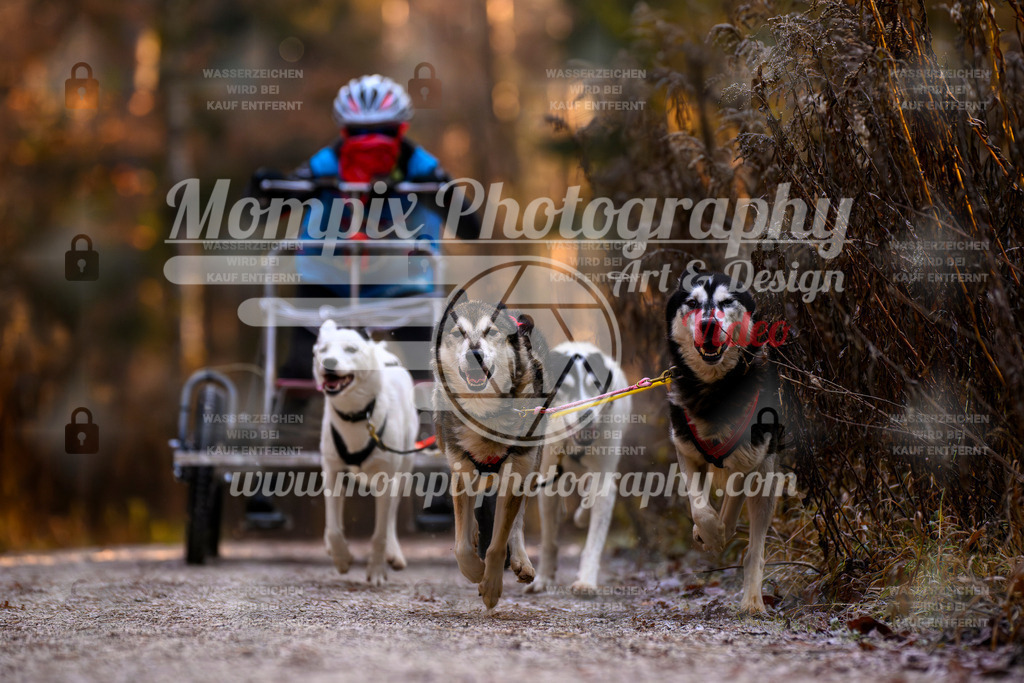 MompixPhotography_DM_AKDM_SO_2025_Wagen-70 | PayLife