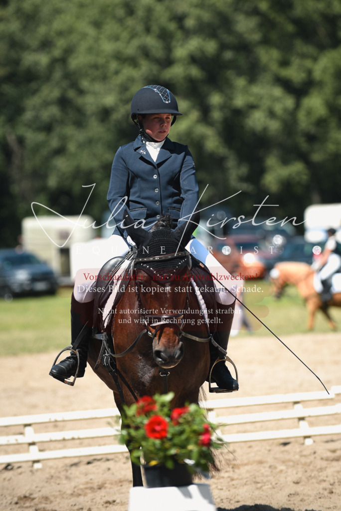 DSC_2161 | Pferde- und Turnierfotografie in Westsachsen. Pferdeportraits, Auftragszeichnungen und intuitive Kunst.