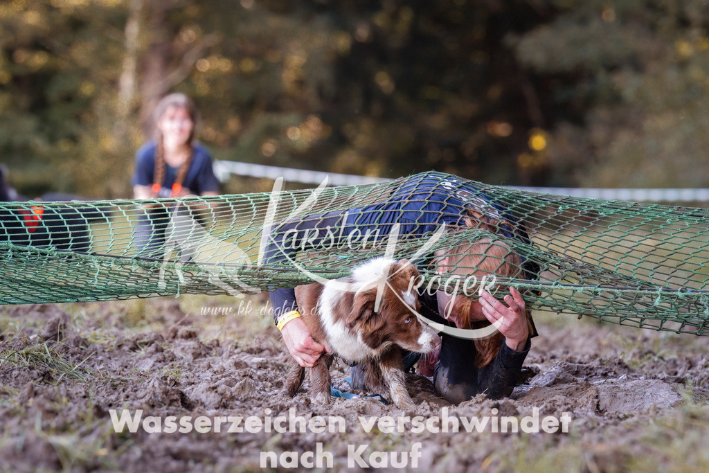 1056_ZZ93305 | kk-dogfotos