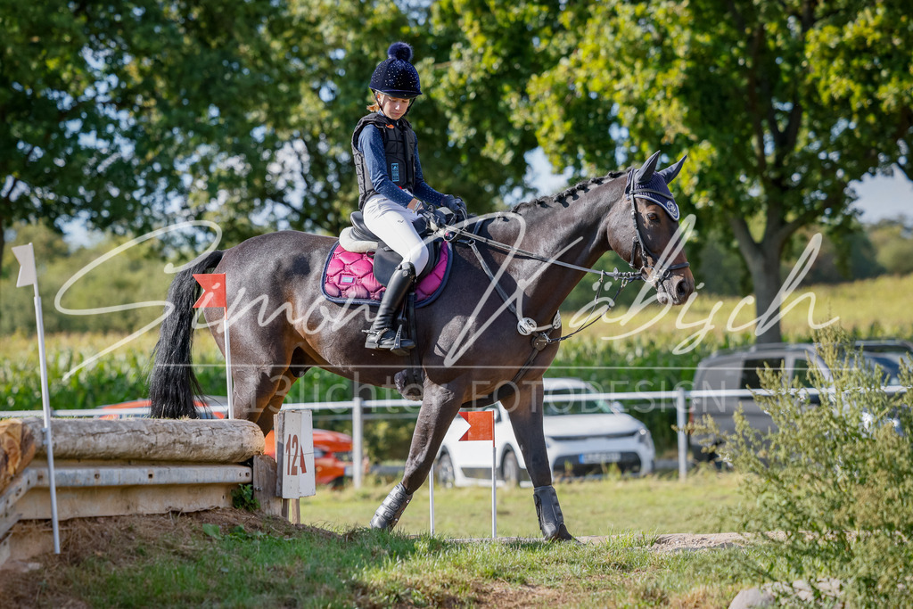20250905-_3LI1586 | Tierfotografie Pferde, Hunde, Katzen, Haustiere.
Turnierfotografie Reitturniere, Reiten, Springreiten, Dressur in Hanau, dem Main-Kinzig-Kreis und dem Rhein-Main- Gebiet um Frankfurt