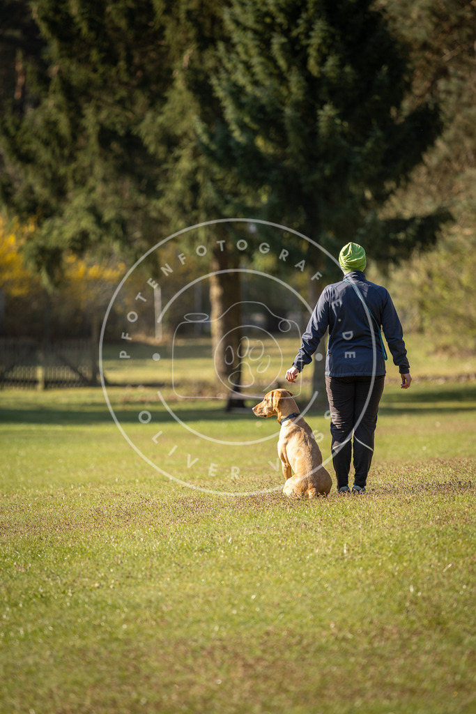 Pfotenfotografie_DV3A0089 | Hundefotografie, Tierfotograf, Pfotenfotografie, Fotoshooting Hund, Hunde Portrait, Hundesport, Hundeportraits, Heideshooting, Hunde, Sportfotograf, Hundefotograf, Turnierhundsport, THS,  - Realisiert mit Pictrs.com