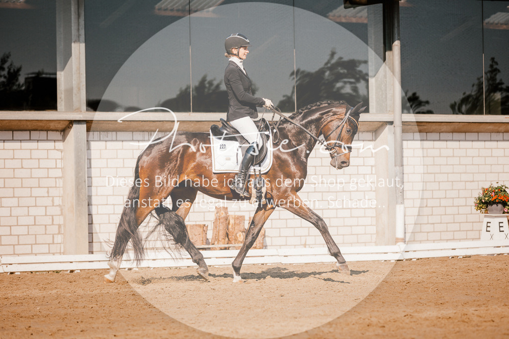 3I6A8985 | Stimmungsvolle Portraits und Reitsportfotografie im Ruhrgebiet und im Münsterland.

Pferdefotografie, Hundefotografie, Tierfotografie, Reportagen, Portraits von Tier und Mensch, Turnierfotografie in Bochum, Recklinghausen, Marl, Haltern am See, Dülmen.. - Realisiert mit Pictrs.com