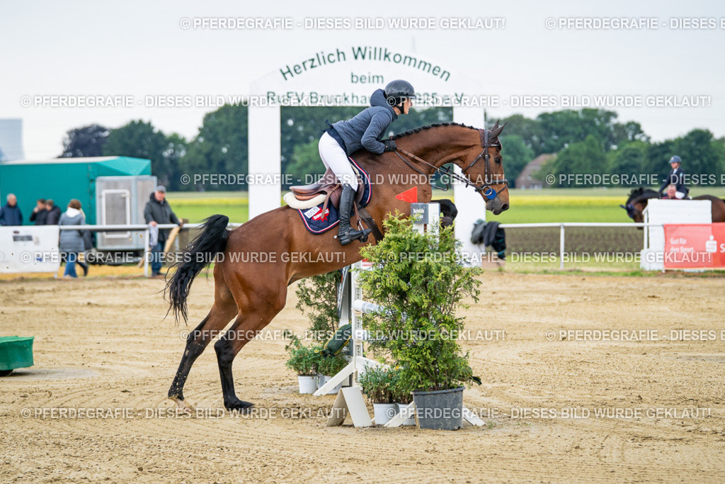 DSC05597 | Pferdegrafie