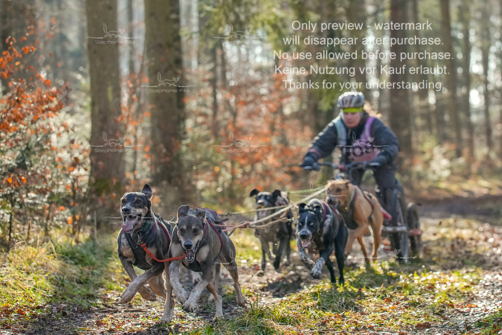 So_Gespanne-12 | stephaniefillaphotographie - Realisiert mit Pictrs.com