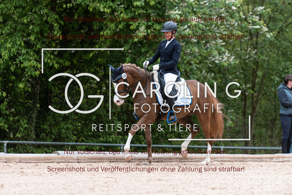 DSC_6742 | Turnierfotografin Carolin Gieschke,Reitsport Turnierfotografie Carolin G Fotografie | Turnierfotos aus Kirchheim/Teck, Esslingen, Stuttgart und dem Bodenseekreis