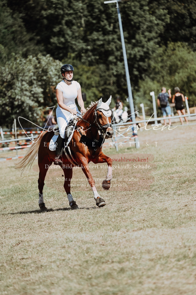 DSC_0018 | Pferde- und Turnierfotografie in Westsachsen. Pferdeportraits, Auftragszeichnungen und intuitive Kunst.