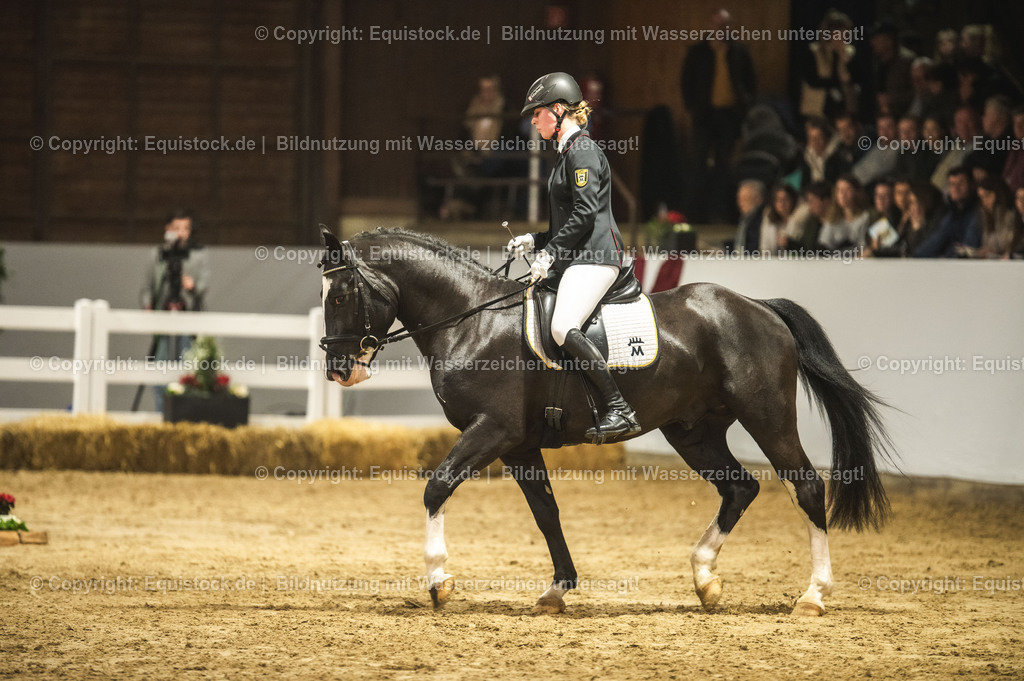 20240302_Hengstvorstellung_Marbach_TOMsPiC_0717 | equistock