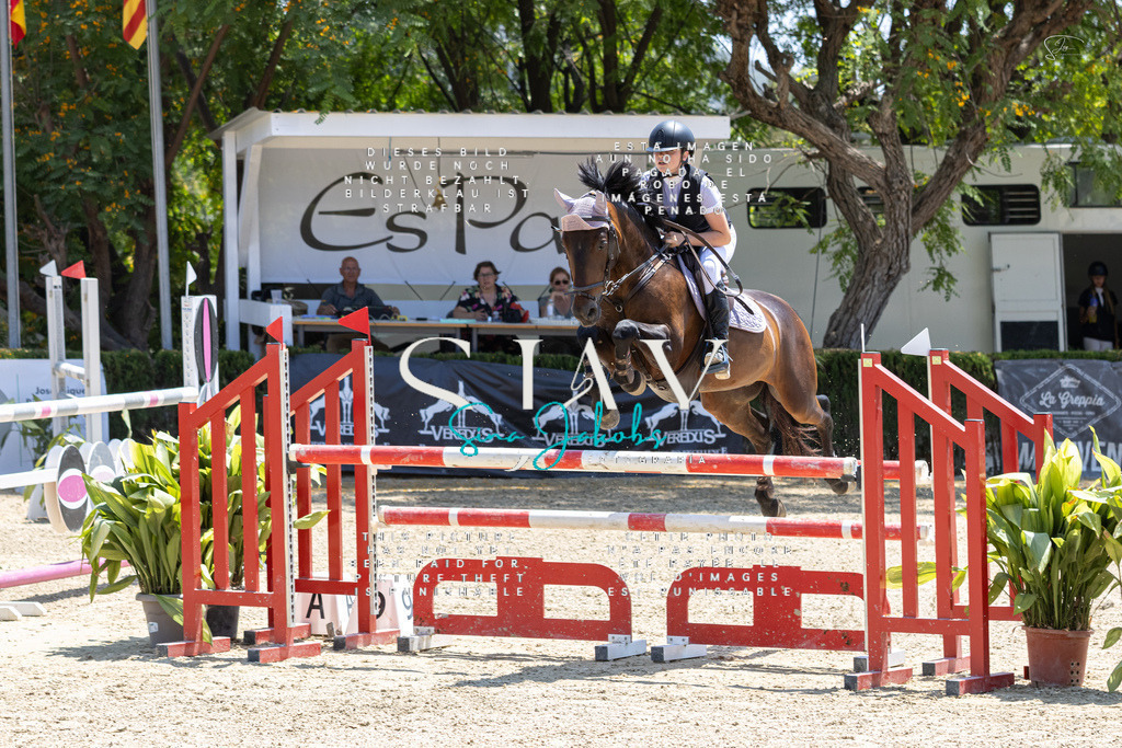 IMG_7582 | s-jay-photography - Realisiert mit Pictrs.com