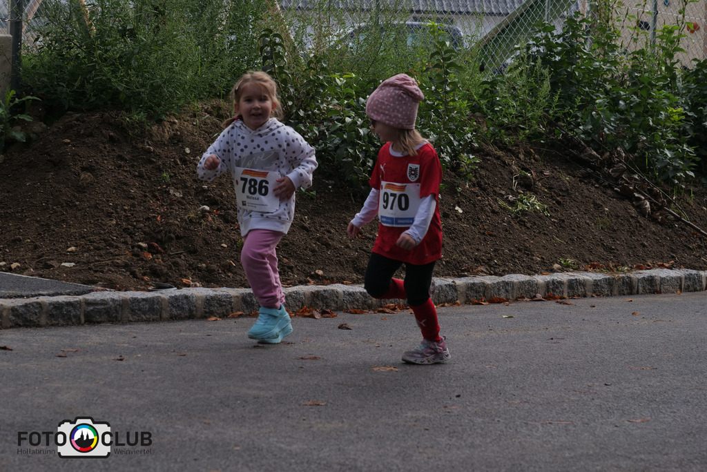 P1017367 | Foto Buchgraber