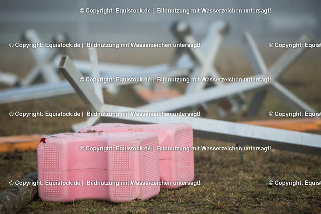 20160101_Umgest__rzte_Spr__nge_auf_Koppel_0001 | equistock