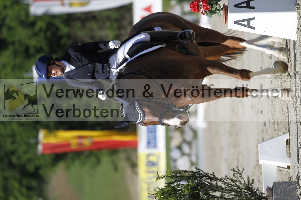 _MG_3089 | equestrian-live-com
