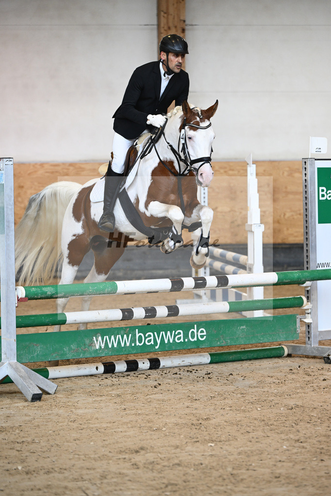Kat-Nr. 4 Shalimar Coloured Phenom enal_Hoffmann_44240607 | hf-fotografie - Realisiert mit Pictrs.com