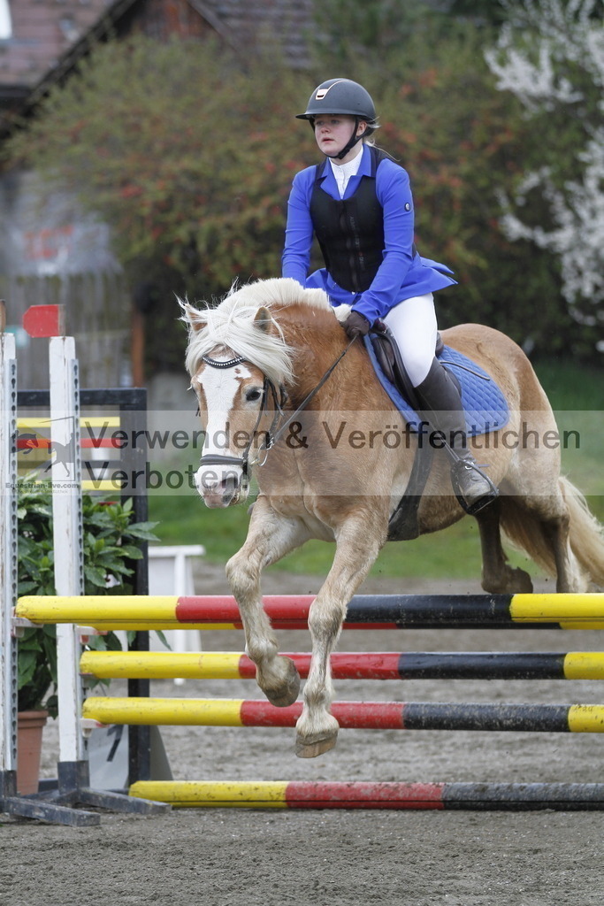 _MG_3448 | equestrian-live-com