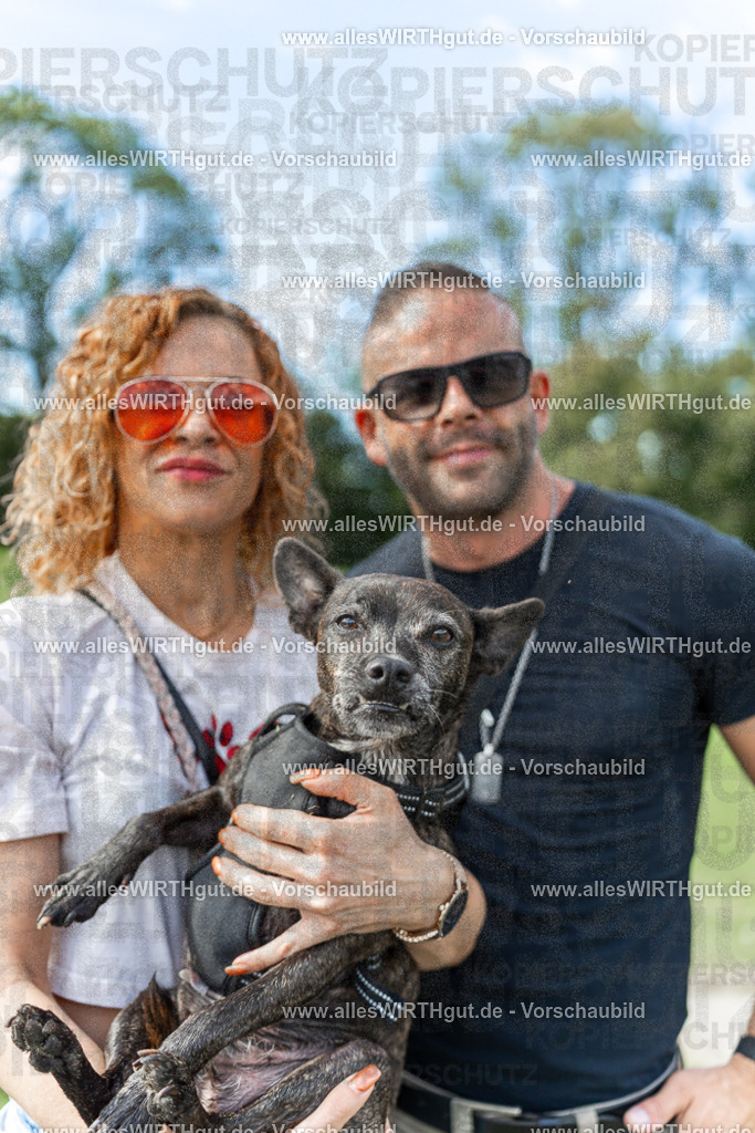 Hundeschwimmen_Volksbad_2026-allesWIRTHgut_Tierfotografie-2609061528-7R501556-2 | Professionelle Tierfotografie in Mönchengladbach von Daniel Wirth (allesWIRTHgut). Liebevolle & natürliche Bilder von Hunden & Katzen für unvergessliche Erinnerungen.