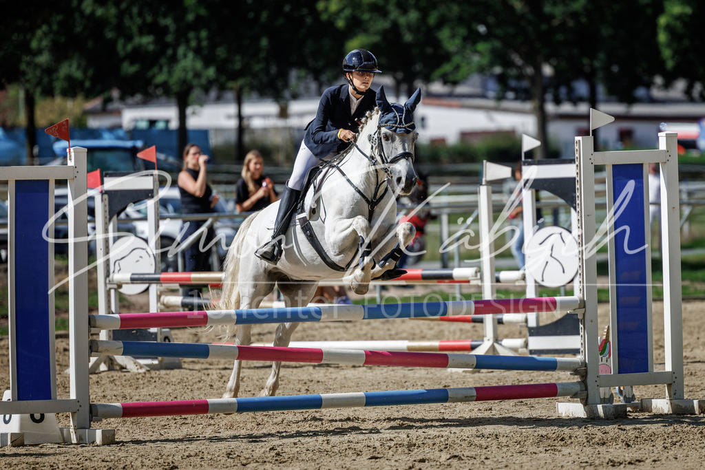 20260905-_3LI9353 | Tierfotografie Pferde, Hunde, Katzen, Haustiere.
Turnierfotografie Reitturniere, Reiten, Springreiten, Dressur in Hanau, dem Main-Kinzig-Kreis und dem Rhein-Main- Gebiet um Frankfurt