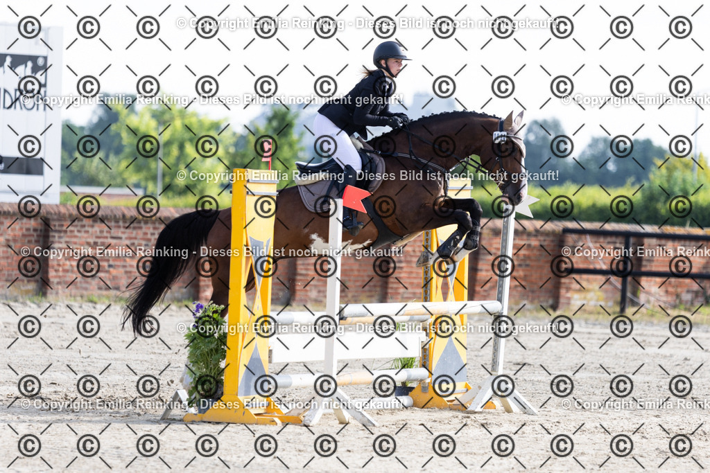 CL5A6141 | Emilia Reinking Fotografie - Realisiert mit Pictrs.com